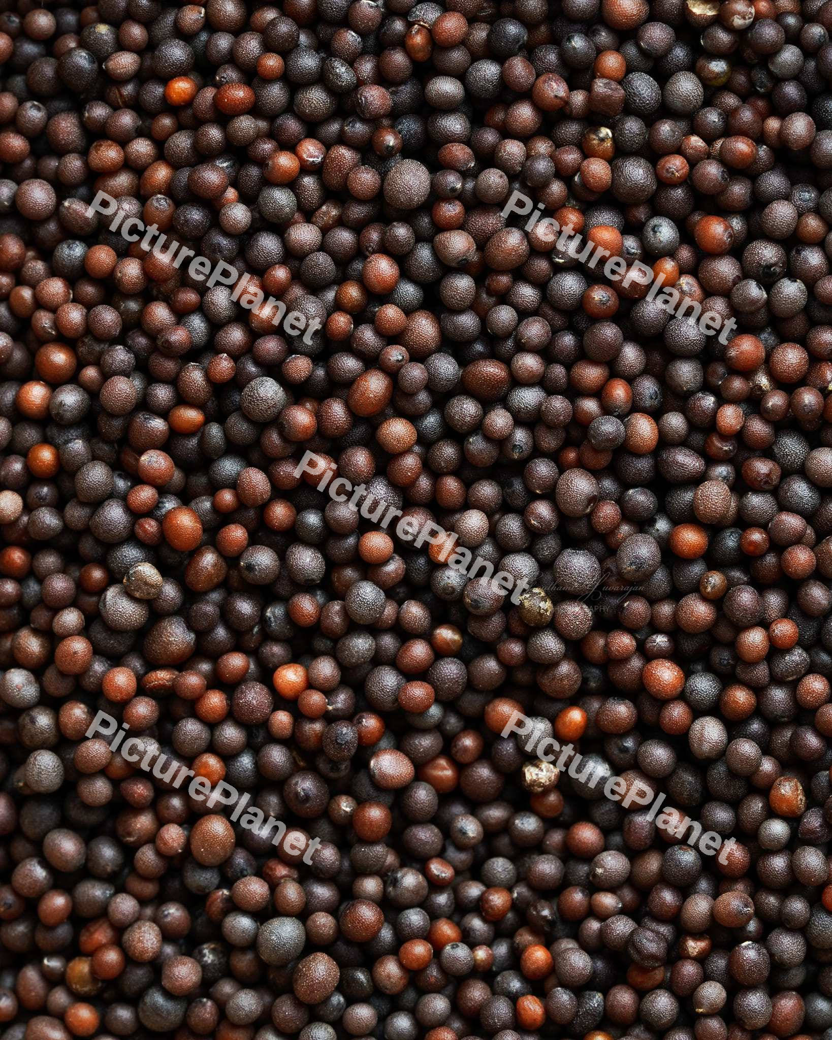Brown Mustard Seeds